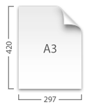 A3(297x420mm)